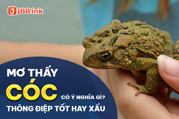 giac-mo-thay-coc
