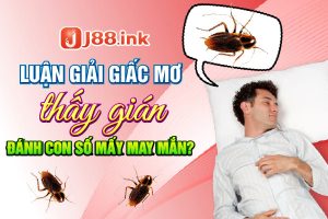 giac-mo-thay-gian
