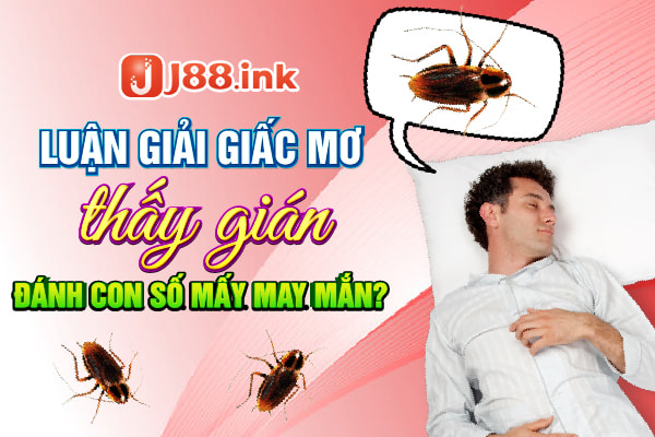 giac-mo-thay-gian