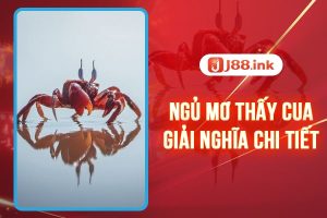 mo-thay-cua