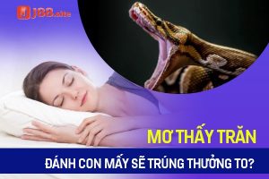 mo thay tran