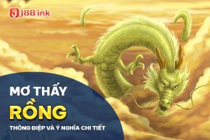 nam-mo-thay-rong